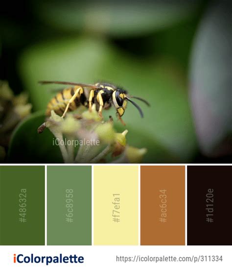 Color Palette Ideas from Insect Bee Honey Image | Color psychology, Palette, Art reference photos