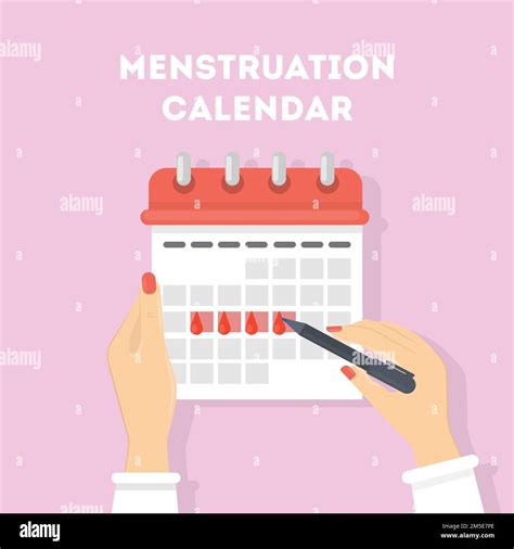 Menstruation Calendar Illustration Red Signs Of Menstrual Cycle Stock