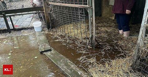 Hochwasser In Klagenfurt Auch Tierheim Garten Eden Von Unwetter Schwer