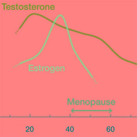 Hormone production before and after menopausal years (19) | Download Scientific Diagram