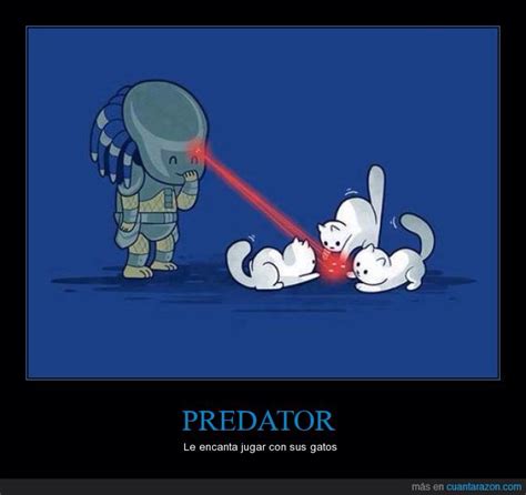 Predator