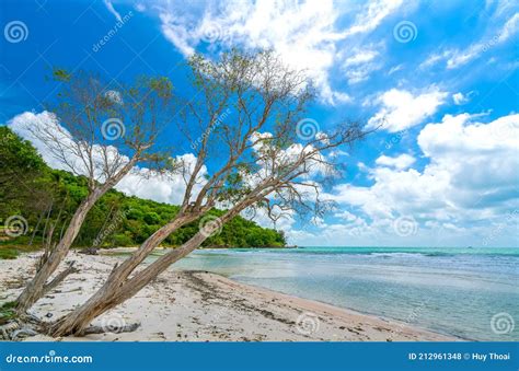 Beautiful Beach on Sunny Morning Stock Photo - Image of island, coastline: 212961348