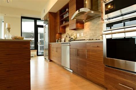 Modern Frameless Kitchen Cabinets | Bayer Interior Woods