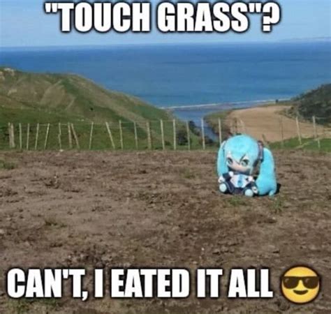 Touch Grass Can T Eated It All Ifunny