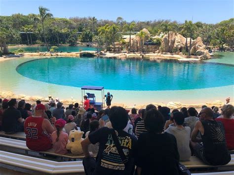 Sea World Main Beach 2019 All You Need To Know Before You Go With