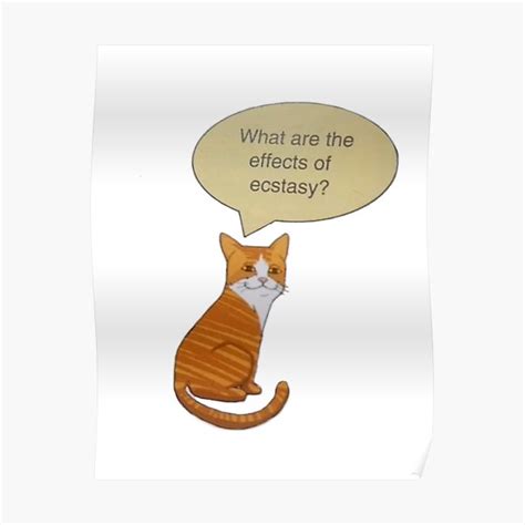 "High cat meme " Poster for Sale by QuotesAndMemes | Redbubble