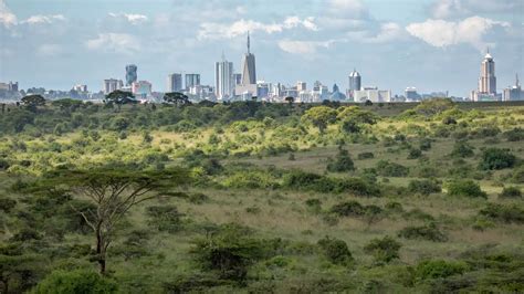 Nairobi National Park - Hola Africa