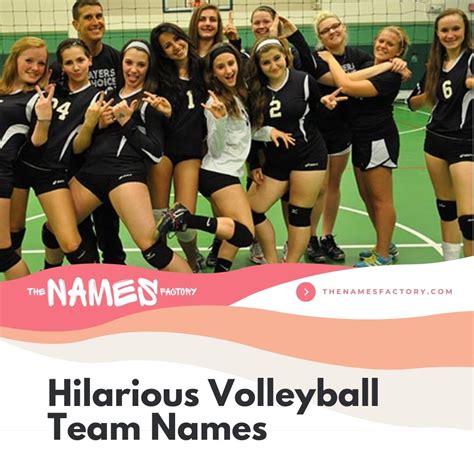 480 Funny Volleyball Team Names Top Names For Your Squad