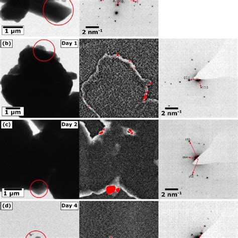 Pdf Characterization Of Amorphous Solid Dispersions And