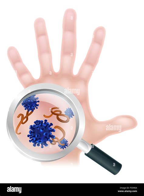 Germs Hand Magnifier Cut Out Stock Images And Pictures Alamy