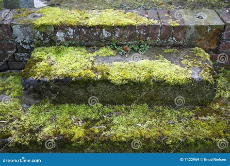 Neglected Grave Potsdam Germany Stock Image Image Of Grave Life