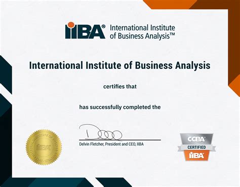 Certification Of Capability In Business Analysis Timothy Ryan