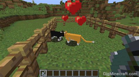 Rare Minecraft Cat Breeds - Dogs And Cats Wallpaper