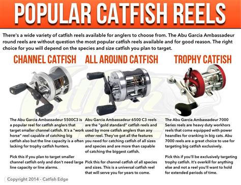 Catfish Reels The Ultimate Guide To Catfish Reels