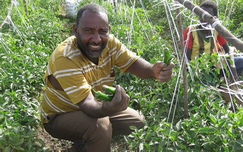 New Fund Utilizes Israeli Tech To Help Small Farmers In Africa The