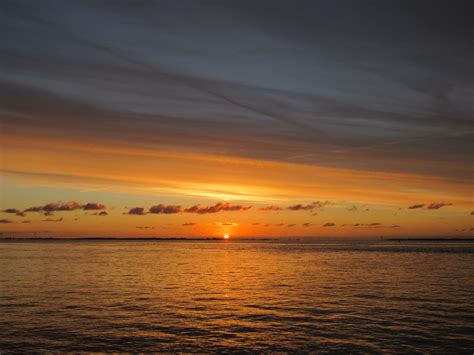 Kats Door Geeske Harkema Kats Zonsopkomst Aan De Oostersc Flickr