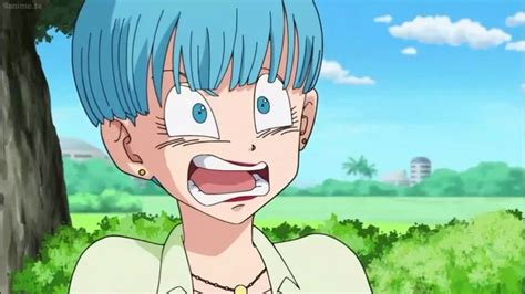 Pin De Calib Smith En Awesome Dragon Ball Super Gt Z Pins 2 Bulma