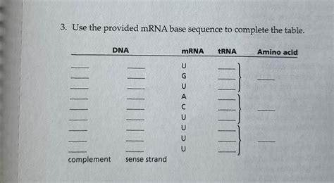 Solved Use the provided mRNA base sequence to complete the | Chegg.com