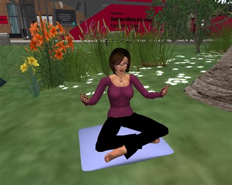 Teaching mindful meditation techniques with avatars in Sec… | Flickr