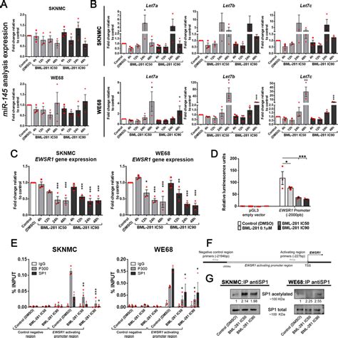 Hdac6 Regulates Ewsr1 Fli1 And Endogenous Ewsr1 Expression Through