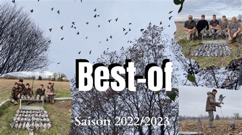 ANNONCE BEST OF des plus belles scènes de chasse à la palombe de la