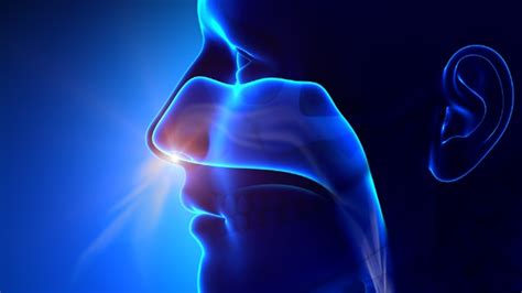 The Benefits of Nose Breathing: Top 4 Reasons You Shouldn't Be a Mouth-Breather