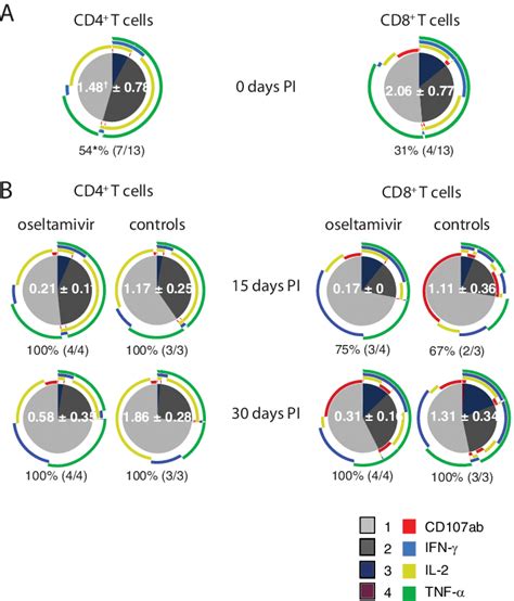 Mean Antiviral T Cell Responses In Pbmcs Before And After Download