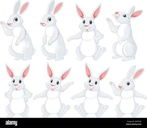 White Rabbits In Different Poses Set Illustration Stock Vector Image