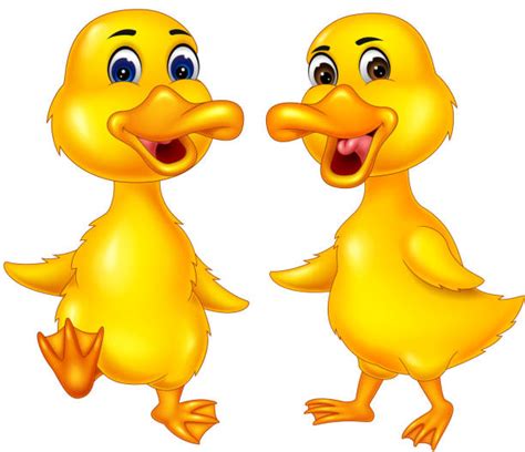 Two Ducks Illustrations Royalty Free Vector Graphics And Clip Art Istock