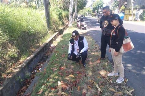 Lima Spanduk Paslon Di Taman Bali Hilang Balipost