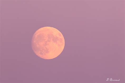 Lune colorée Photos de paysage et de nature Forumdephotos