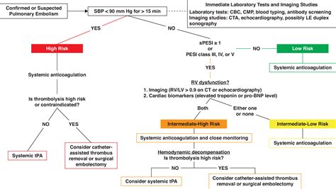 Evaluation And Management Of Intermediate And High Risk Pulmonary