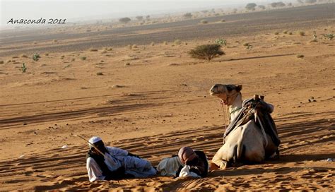 Sudan's beautiful desert! | Aswan, Beautiful, Sudan