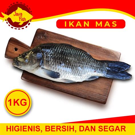 Jual Ikan Mas Hidup Segar 1 KG Shopee Indonesia