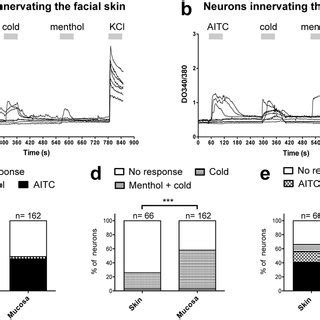 Quantitative Analysis Of Trpm Trpa And Cgrp Expression In Trigeminal