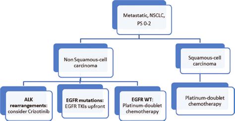 Treatment algorithm in first-line metastatic non-small-cell lung cancer... | Download Scientific ...