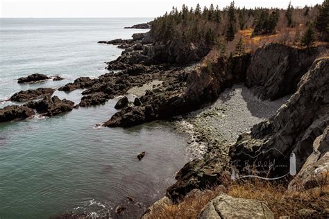 Hiking Cutler Coast Public Reserved Land — The Bearded Mainer