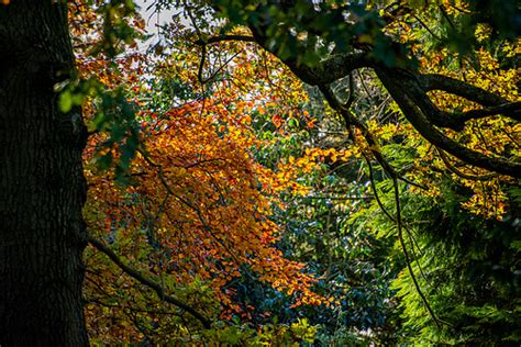 Ipernity Autumn Colours By Maeluk