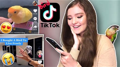 Reacting To Viral Bird Tiktoks Youtube