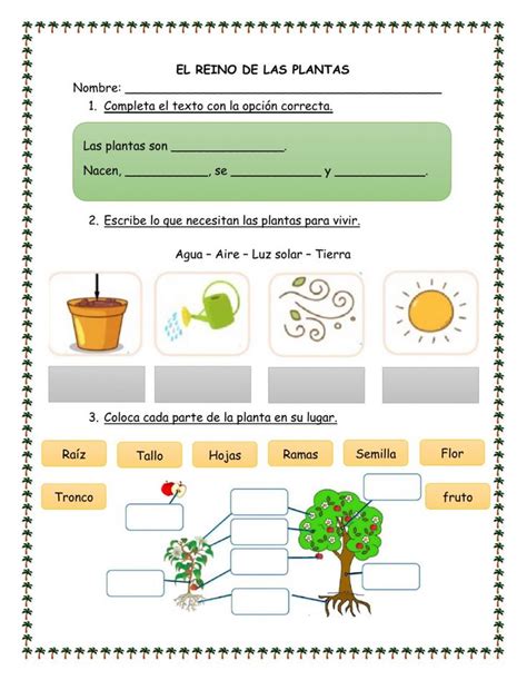 El Reino De Las Plantas En 2024 Ciclos De Vida De Las Plantas Ciclo