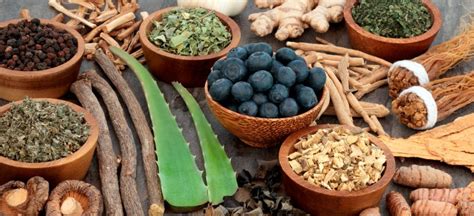 12 Adaptogens To Balance Restore And Protect The Body Dr Axe