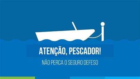 Vai Come Ar O Defeso E Pescadores Artesanais Regularizados Devem Dar