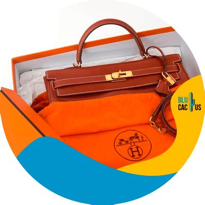 What S Hermes Marketing Strategy BluCactus UK