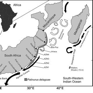 Palinurus delagoae. Distribution in the southwestern Indian Ocean, with ...