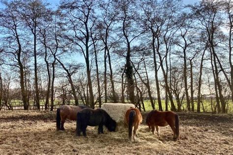 Heerlijke Fietsroute Langs Weesp Vreeland En Abcoude Grijsopreis Nl