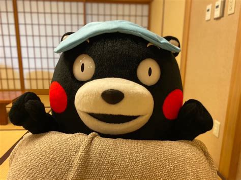 ๑ ټ ﾍﾍｯ ボクしばらく髪薄め 冨2 on Twitter RT 55 kumamon さて寝るかモンおやくま