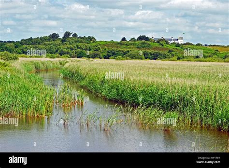 Wetland Marshes At Rspb Minsmere Nature Reserve Stock Photo Alamy