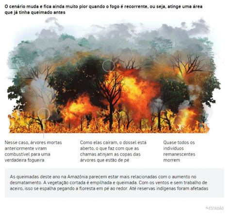 Crise Das Queimadas Na Amaz Nia Assunto Para Ci Ncias Da Natureza E