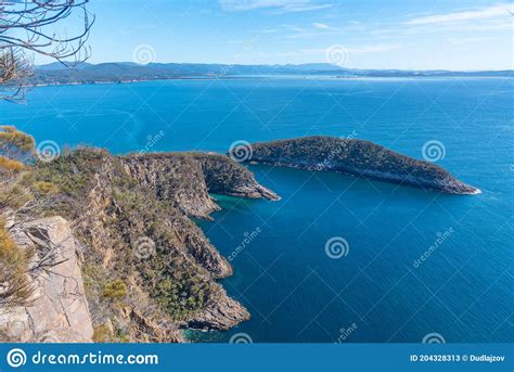 Penguin Island At Bruny Island In Tasmania Australia Stock Image