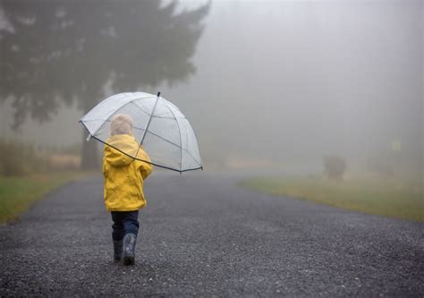 Chuva E Descida De Temperatura O Tempo Para A Reta Final Da Semana